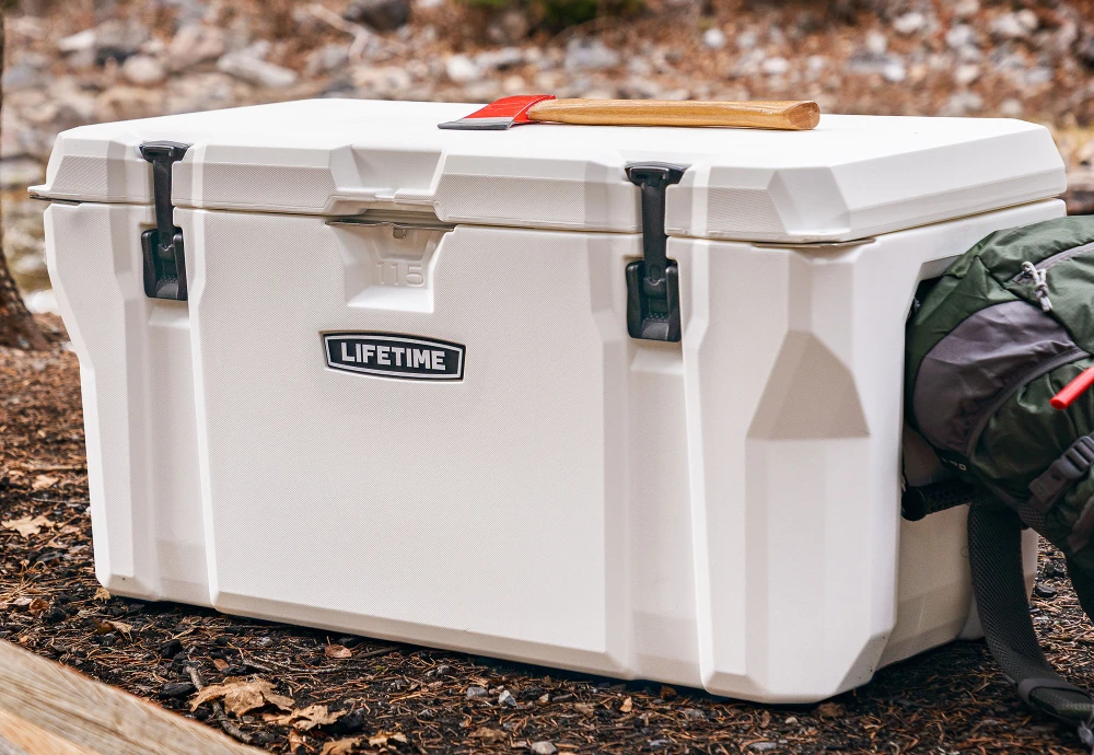 chest freezer cooler