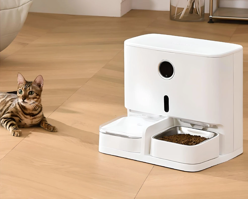 best automatic cat feeder with camera